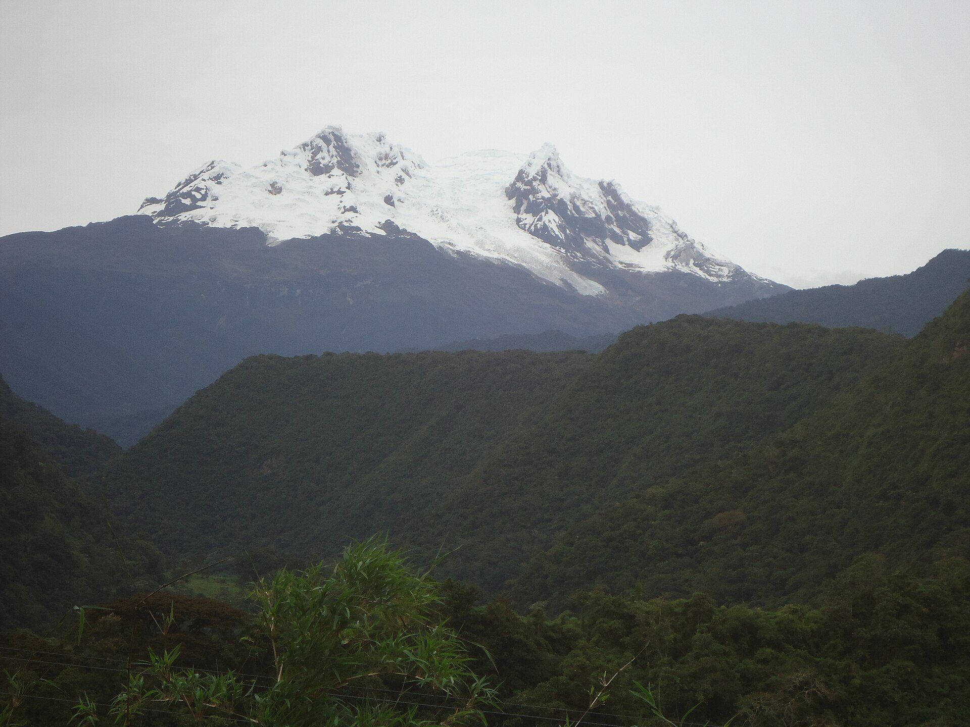 Nevado Antisana con sus glaciares sobre laderas de bosque andino